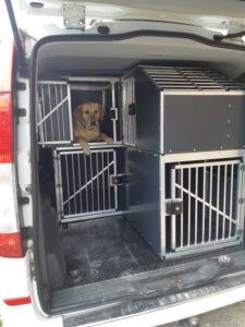 Hundetransporter Mercedes Vito